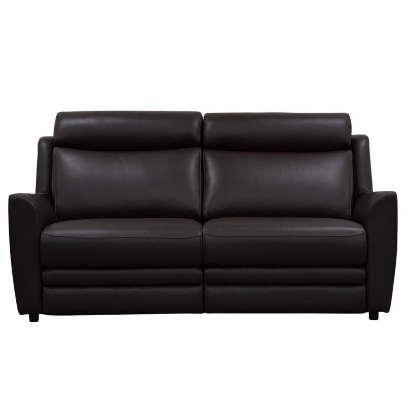 Dakota large 2 seater sofa in leather